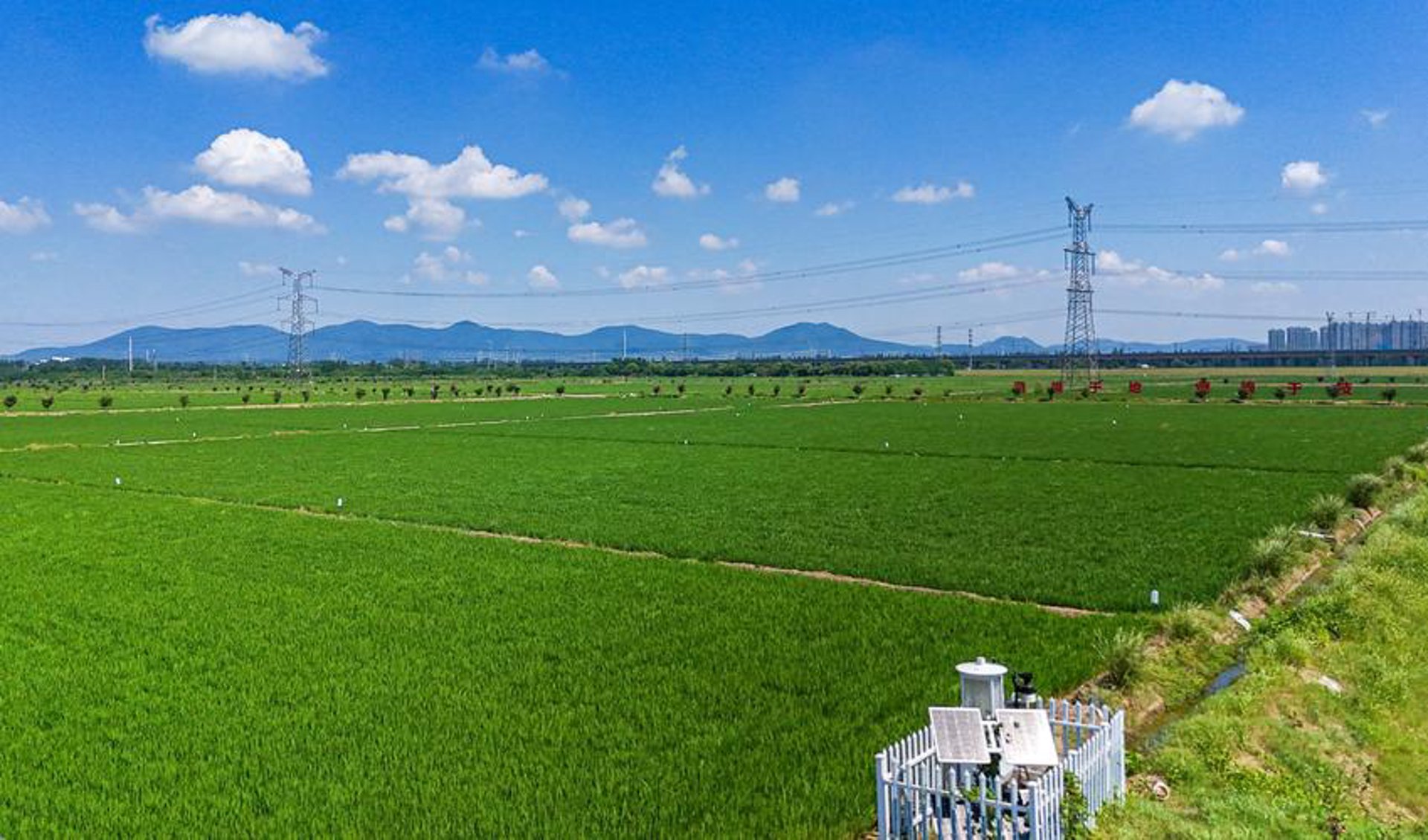 草坝场柑橘